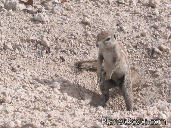 Images for Namibia