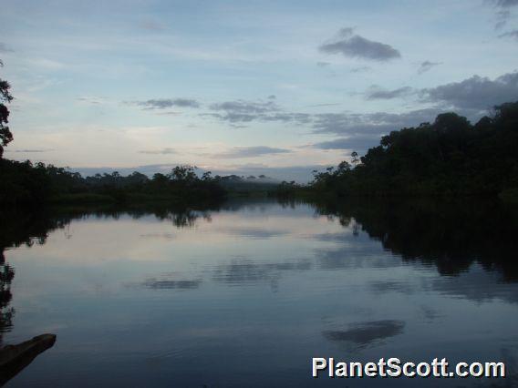 lagoon view from Sani Lodge in the Amazon
