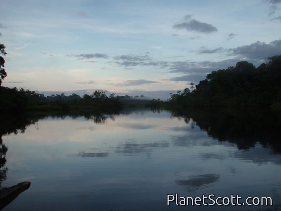 lagoon view from Sani Lodge in the Amazon