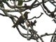 Image from 2006-11-11
