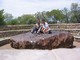 Hoba Meteorite (Worlds Largest!!!), Namibia