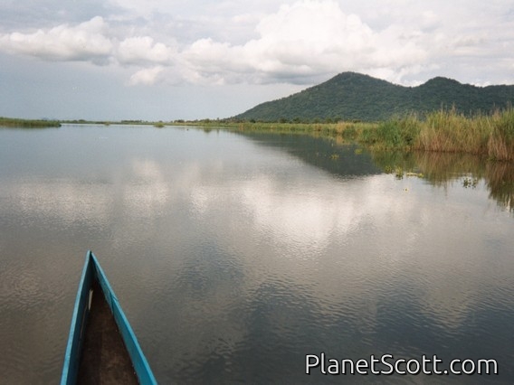 Shire River, Malawi