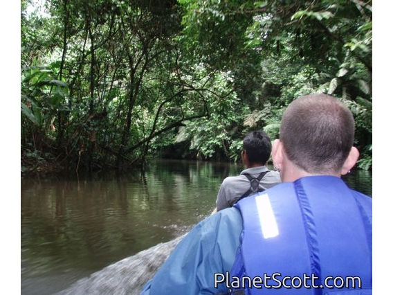 Canoeing through the rainforest