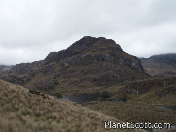 Cajas National Park, near Cuenca