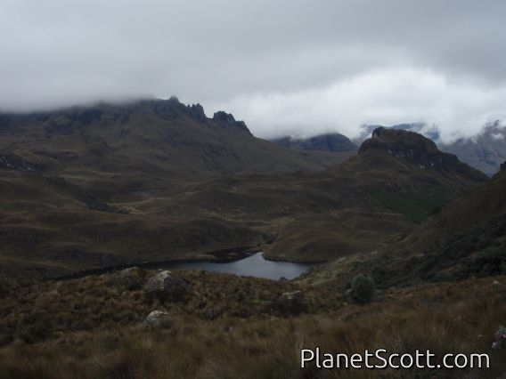Cajas National Park