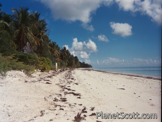 Zanzibar Island, Tanzania