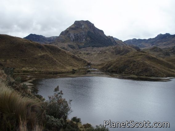 Cajas National Park