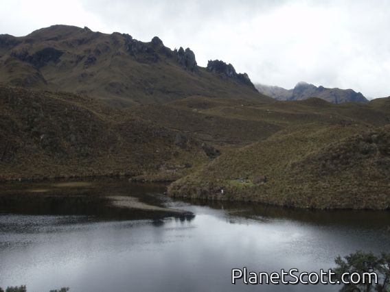 Cajas National Park