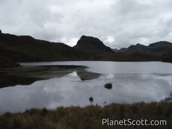 Cajas National Park