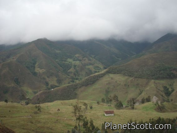 Cajanuma section of Parque Nacional Podocarpus