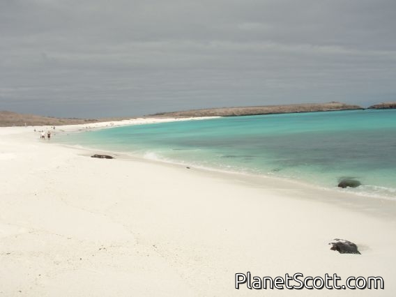 Postcard beach, Gardener Bay, Isla Española
