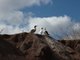 Baby booby, Punta Suarez, Isla Española