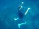 Sea creature off Isla Floreana