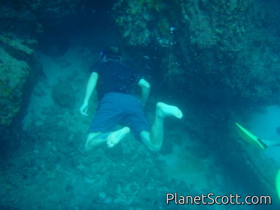 Scott checks it out (braver than me)