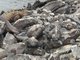 Even bigger pile of iguanas, Punta Espinosa, Isla Fernandina