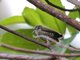Image from 2006-11-24