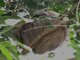 Hoffmann's two-toed sloth (Choloepus hoffmanni)
