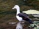 Image from 2007-03-10