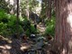 Creek Crossing, Yosemite National Park