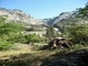 Stump, Yosemite National Park