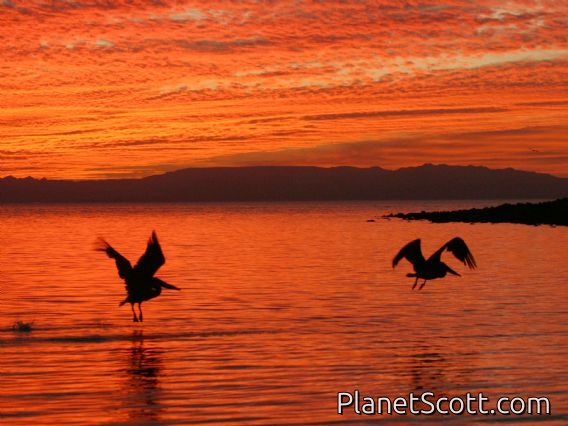 Trip Report, maps, and images for Mexico, Baja California Sur