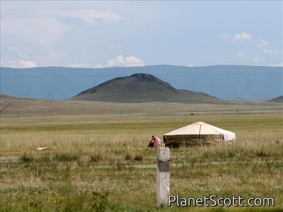 Tuva Yurt in the Valley of the Kings