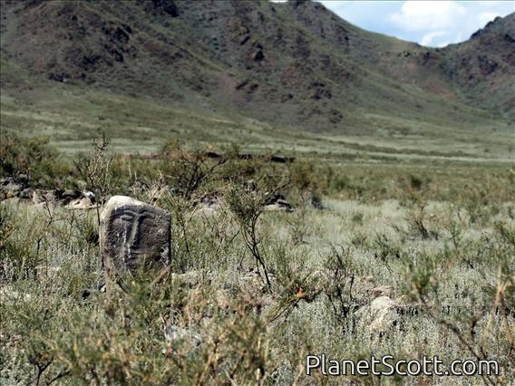 Western Tuva, Ancient Turkic Carving