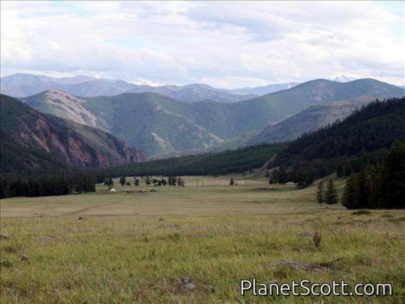 Western Tuva, Valley