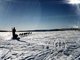 Dog-musher Bill