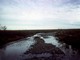 Creek Draining into Arctic Ocean