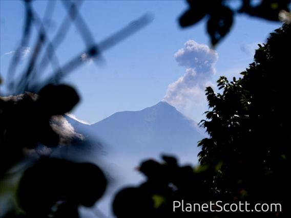 Volcan de Fuego Erupts