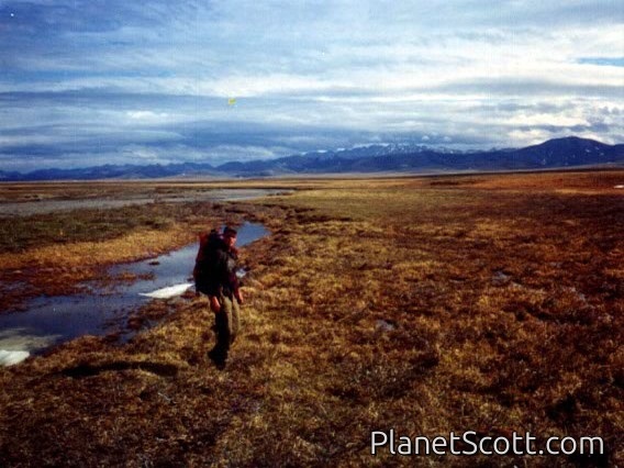 Images for Alaska 2000 - Kongakut River