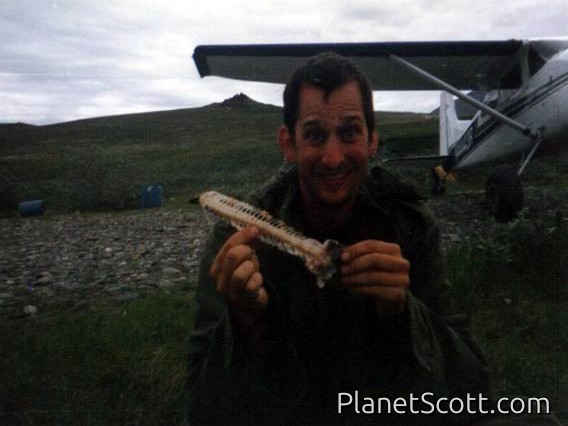 Eating the Fish on the Runway, ANWR