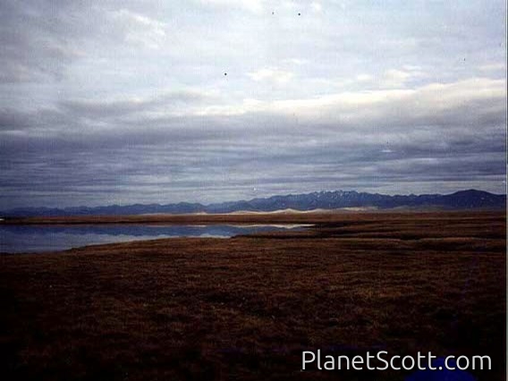 Images for Alaska 2000 - Kongakut River