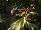 Image from 2009-02-24