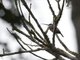 Image from 2009-03-09