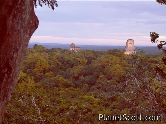 View From Temple IV