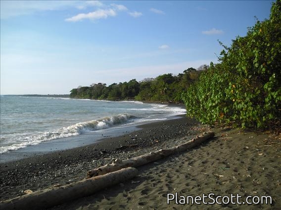 La Sirena Beach