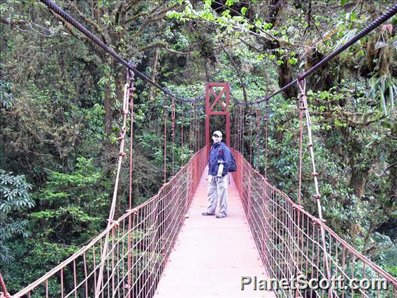 Monteverde Suspension Bridge