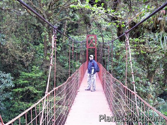 Monteverde Suspension Bridge