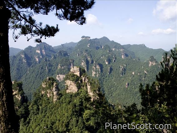 Wulingyuan Scenery