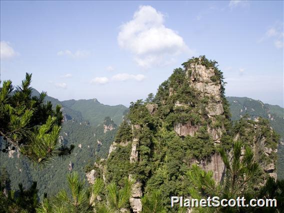 Wulingyuan Rocky Outcrop