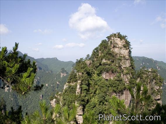 Wulingyuan Rocky Outcrop