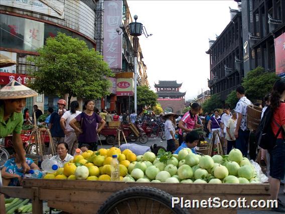 Fenghuang Fruit Cart