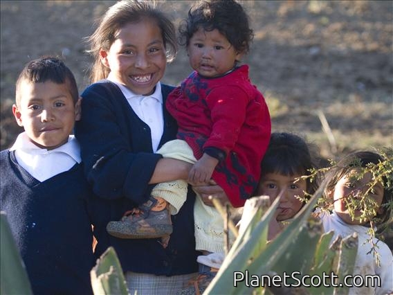 Mexican Children - El Rosario