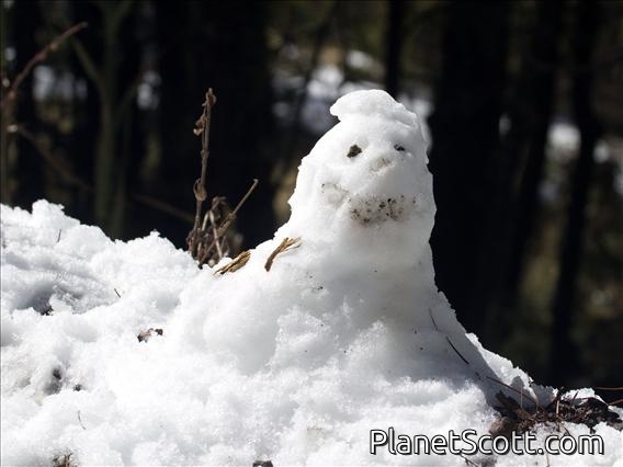 Hombre de Hielo