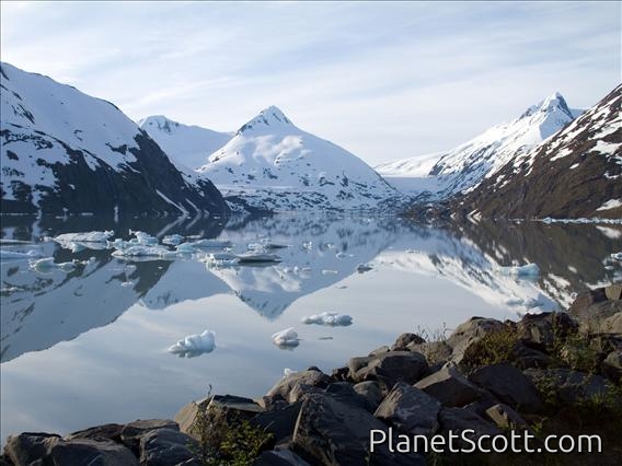 The Former Portage Glacier