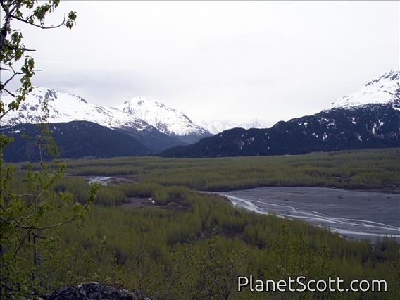 Kenai Fiords National Park