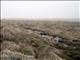 St. George Island - Tussocks