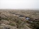 St. George Island - Tussocks